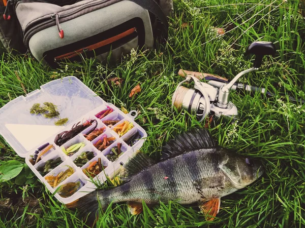 Concepto de pesca: pescado, caña de pescar, cebo —  Fotos de Stock