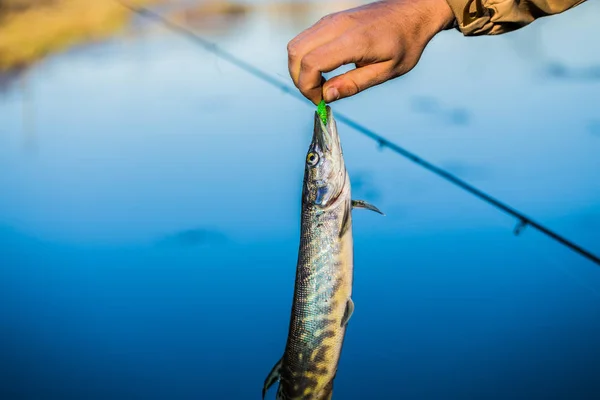 Pesca del luccio sul lago. Attività ricreative di pesca — Foto Stock