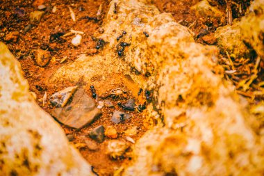 Seascape. Girit'e deniz gezisi