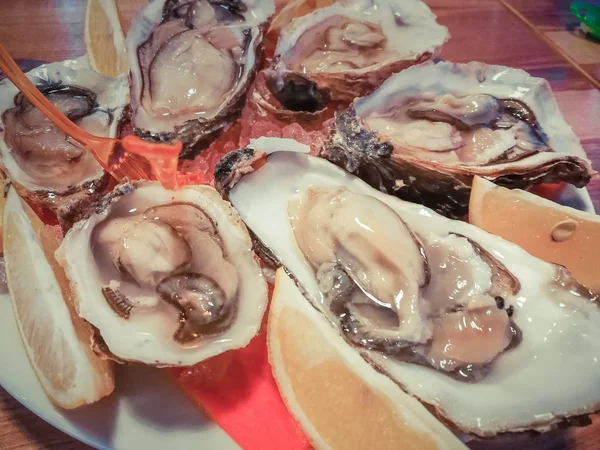 Ostras Con Vino Mesa — Foto de Stock