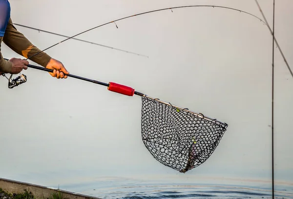 Pesca Truchas Río —  Fotos de Stock