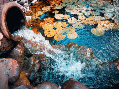 eski bir vazodan şelale