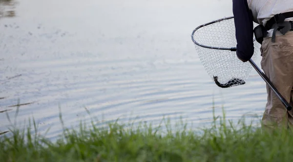 Pesca Alla Trota Sul Fiume — Foto Stock