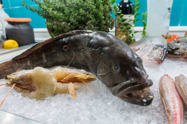 Bir balık restoranında buzda balık