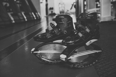 kangoo botları yakından atlar