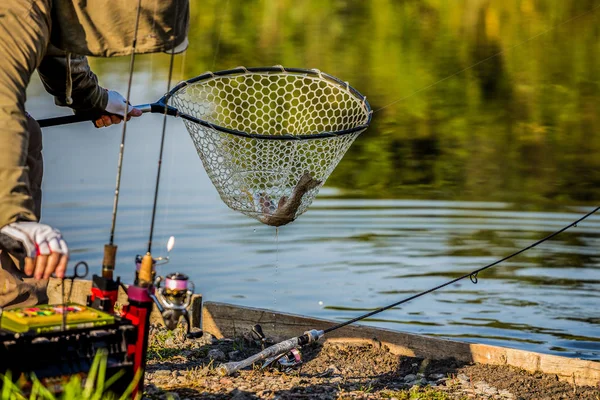 Pêche Truite Sur Rivière — Photo