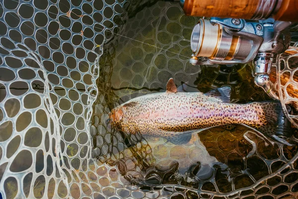 Trout Fishing Lake — Stock Photo, Image