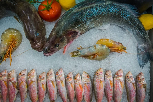 Pesce sul ghiaccio in un ristorante di pesce — Foto Stock