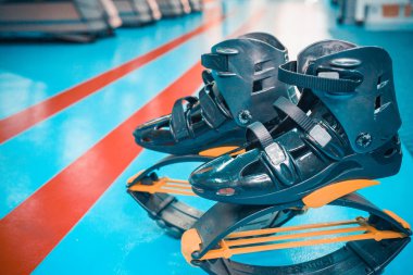 kangoo botları yakından atlar