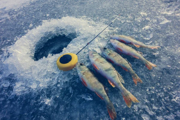 Pesca Sul Ghiaccio Invernale Hobby — Foto Stock