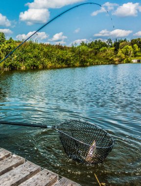 Alabalık balıkçılık Nehri üzerinde