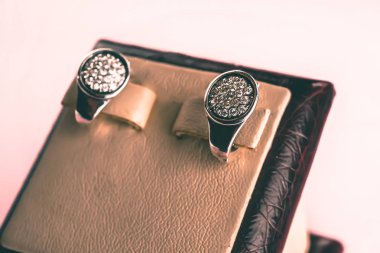 Taşlar Gümüş Küpe