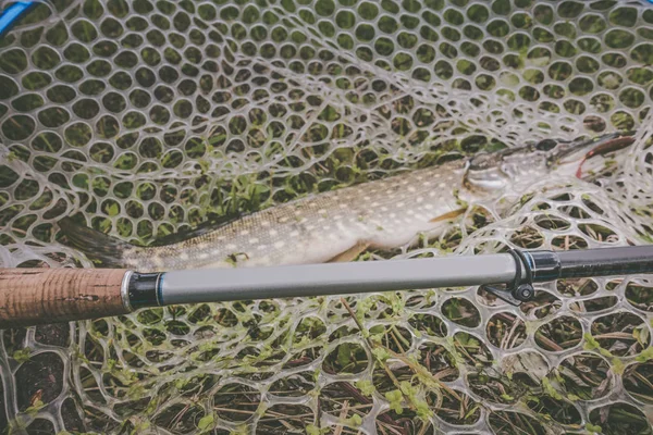 Pesca del luccio sul lago — Foto Stock