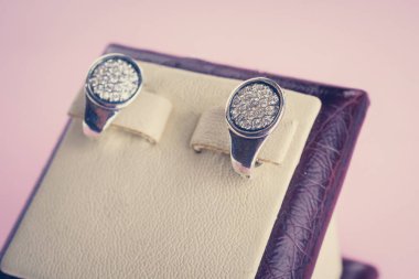 Taşlar Gümüş Küpe