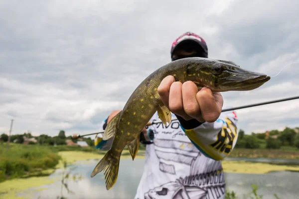 Pesca de lucio en el lago — Foto de Stock