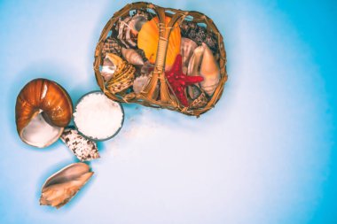 Kabukları ve deniz tuzu arka plan