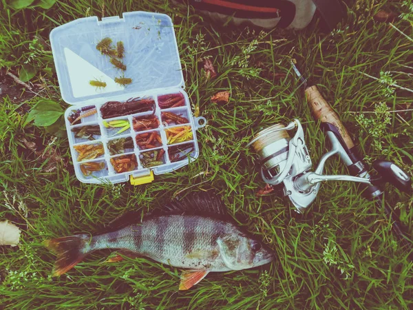 Concepto de pesca: pescado, caña de pescar, cebo —  Fotos de Stock