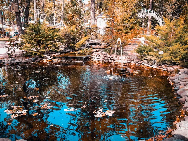 Lagoa com uma fonte — Fotografia de Stock