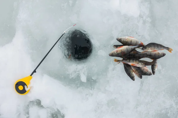 Hobby Pesca Gelo Inverno — Fotografia de Stock