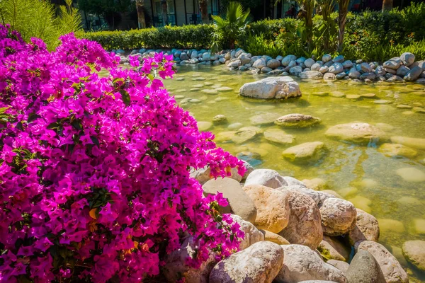 Güzel tatil beldesi. Yeşil ve çiçekler — Stok fotoğraf