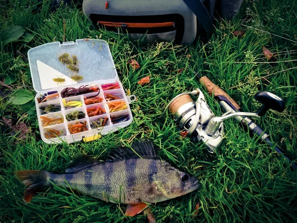 Concepto de pesca: pescado, caña de pescar, cebo — Foto de Stock