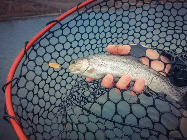 Background on a fishing theme — Stock Photo, Image