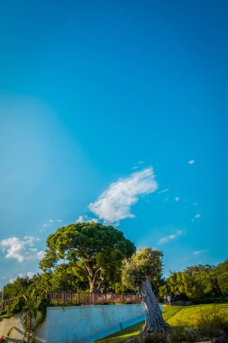 Deniz kenarındaki güzel resort peyzaj