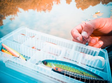 bir kutuiçinde balık için yem