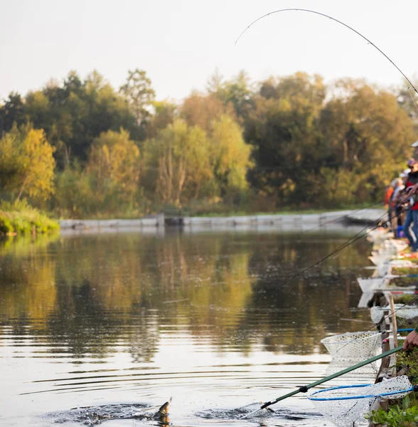 Pesca Truchas Río —  Fotos de Stock