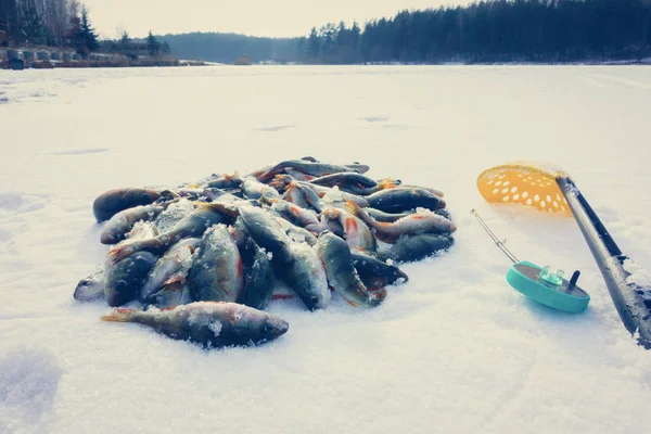Зимняя рыбалка из льда — стоковое фото