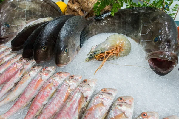 Fisch Auf Eis Einem Fischrestaurant — Stockfoto