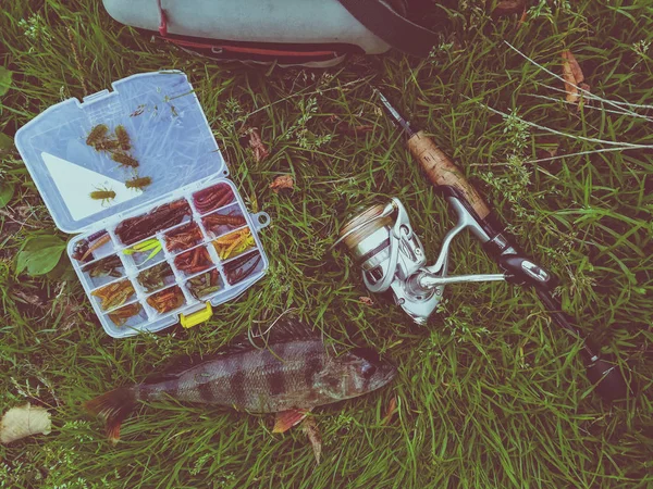Concepto de pesca: pescado, caña de pescar, cebo —  Fotos de Stock