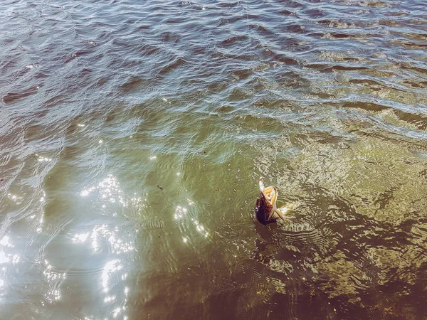 Pesca sul lago — Foto Stock