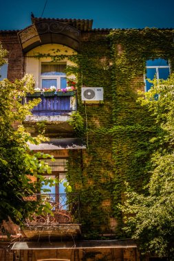 güzel şehir yeşil balkon