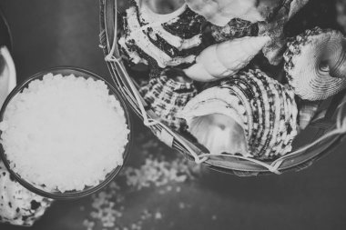 Kabukları ve deniz tuzu arka plan