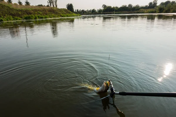 Buen Pasatiempo Pesca Captura —  Fotos de Stock