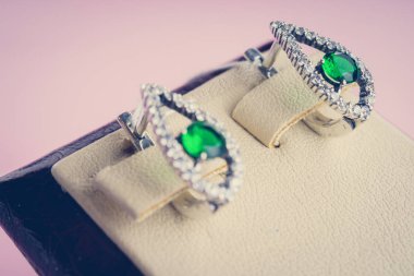 Taşlar Gümüş Küpe