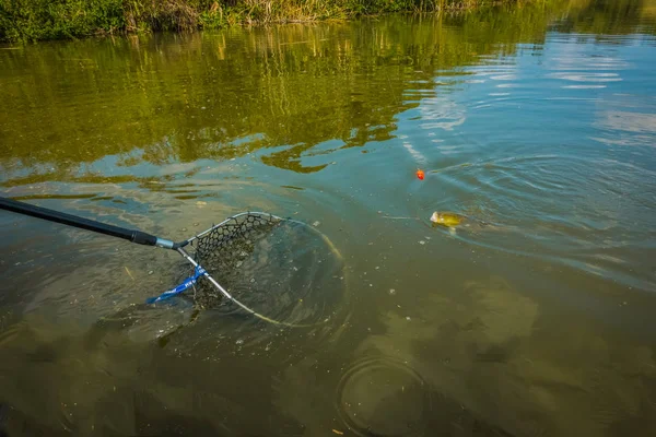 Boa Pesca Pegar Passatempo — Fotografia de Stock