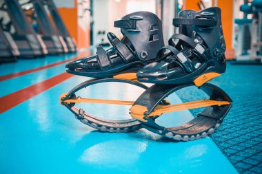 kangoo botları yakından atlar