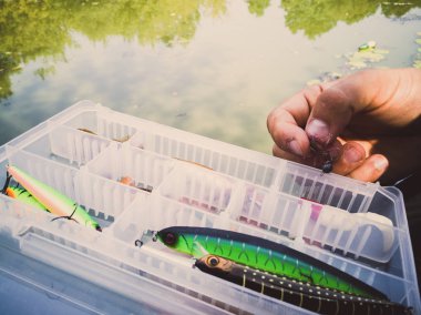 bir kutuiçinde balık için yem