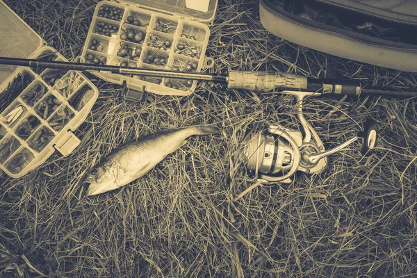 Concepto de pesca: aparejos, caña de pescar, peces en la hierba —  Fotos de Stock