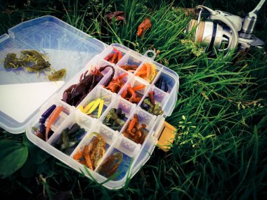 Balık tutma kavramı: Yemler ve iplik