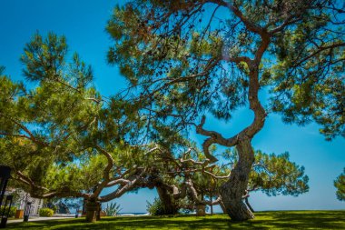 Güzel deniz resort. Yaz tatili