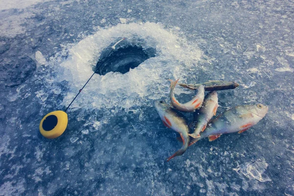 湖での氷釣り — ストック写真