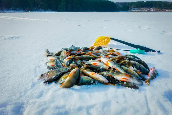 Hielo Invierno Pasatiempo Pesca — Foto de Stock