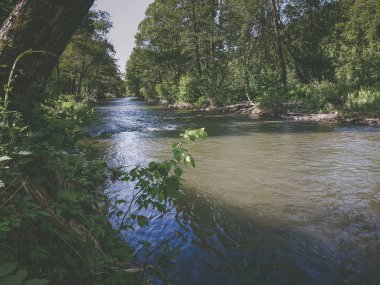 Ormanda güzel hızlı nehir