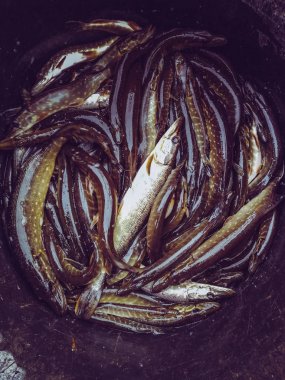 Bir balıkçı tema arka plan