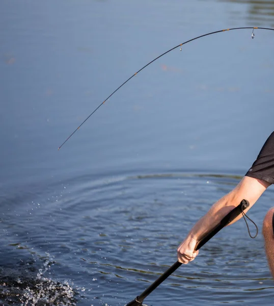 Риболовля Форелями Річці — стокове фото