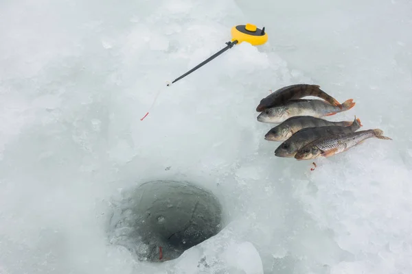 Vinterisfiske Hobby — Stockfoto