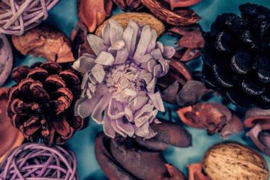 Dekoratif spa elemanları arka plan